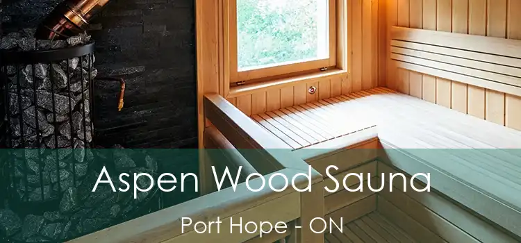  Aspen Wood Sauna Port Hope - ON