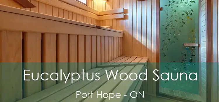  Eucalyptus Wood Sauna Port Hope - ON