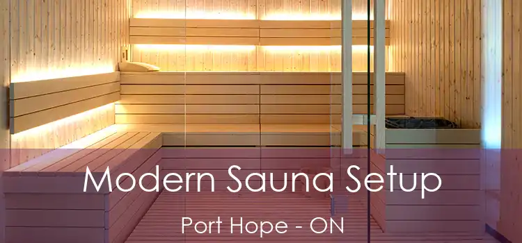  Modern Sauna Setup Port Hope - ON