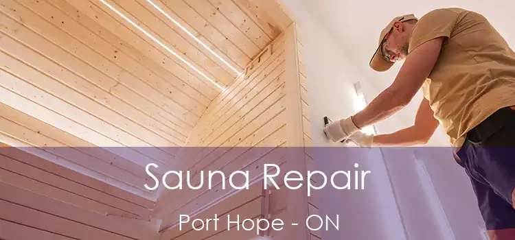  Sauna Repair Port Hope - ON