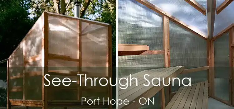  See-Through Sauna Port Hope - ON